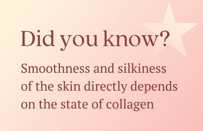 exc-640f454e1c2dd6612a8c1360